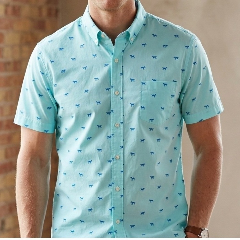 IZOD Men Shirt XL Mint Green Turquoise Dog Print Short Sleeve Button Down Casual